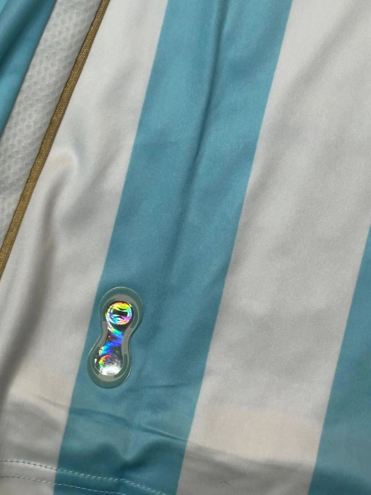 2006 Lionel Messi Blue/White Argentina Jersey #19 Long Sleeve Home Shirt